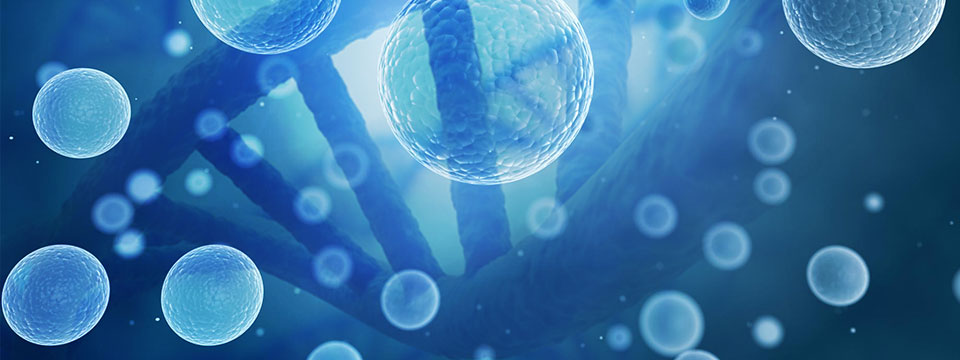 stemcellSlide